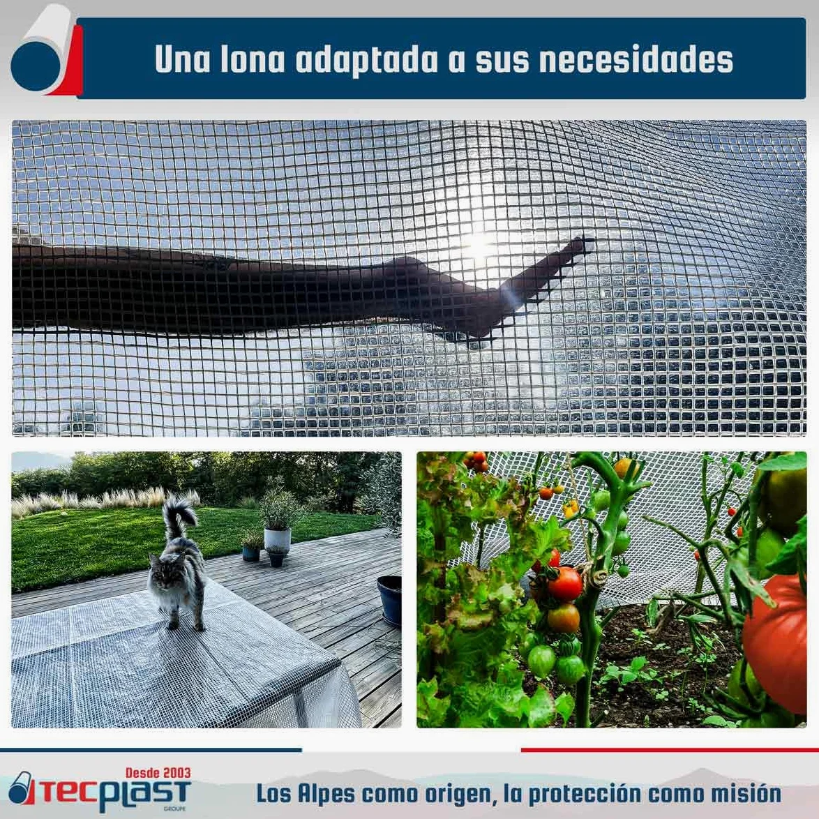 Lona Transparente Reforzada 3x4 m - TECPLAST - TR170MU - Lona Impermeable Anti UV
