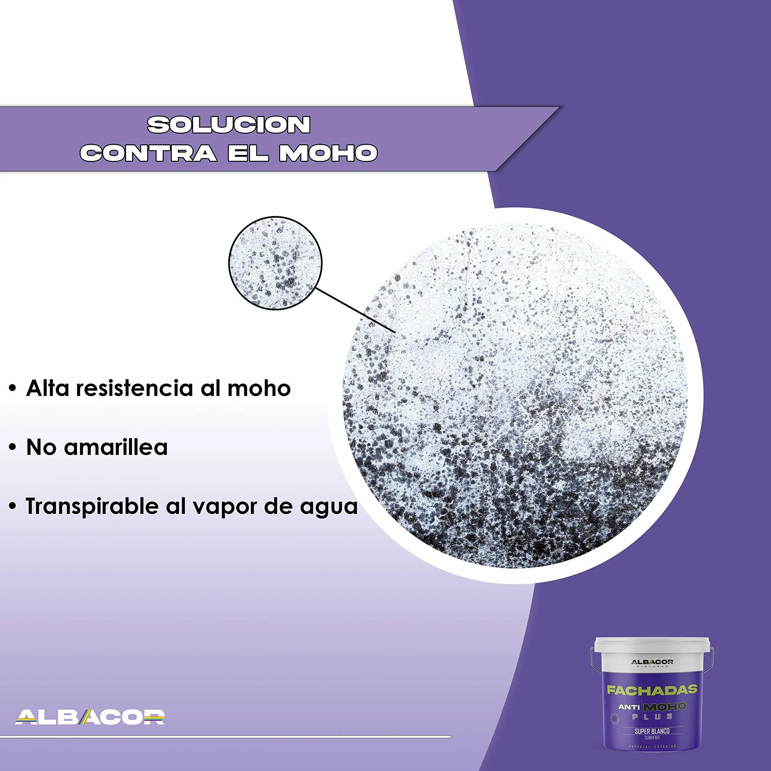 ALBACOR Pintura Blanca Exterior Pintura Fachada Antimoho Plus, Con Protección al Moho y Verdín, Alta Resistencia al Exterior, Impermeable, Revestimiento de Larga Duración (5 Kilos)
