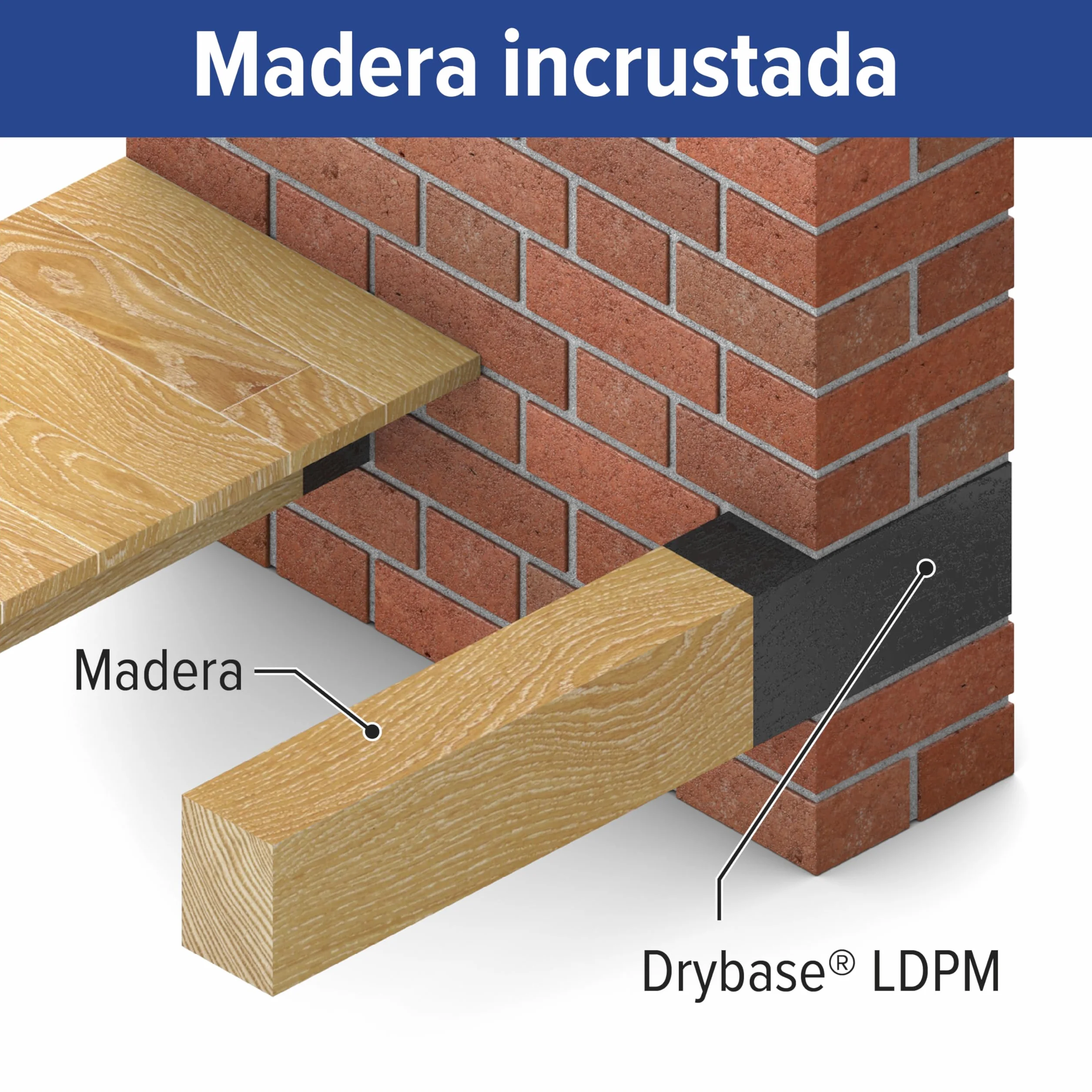 Drybase Membrana líquida impermeable antihumedad (1L - Blanco)