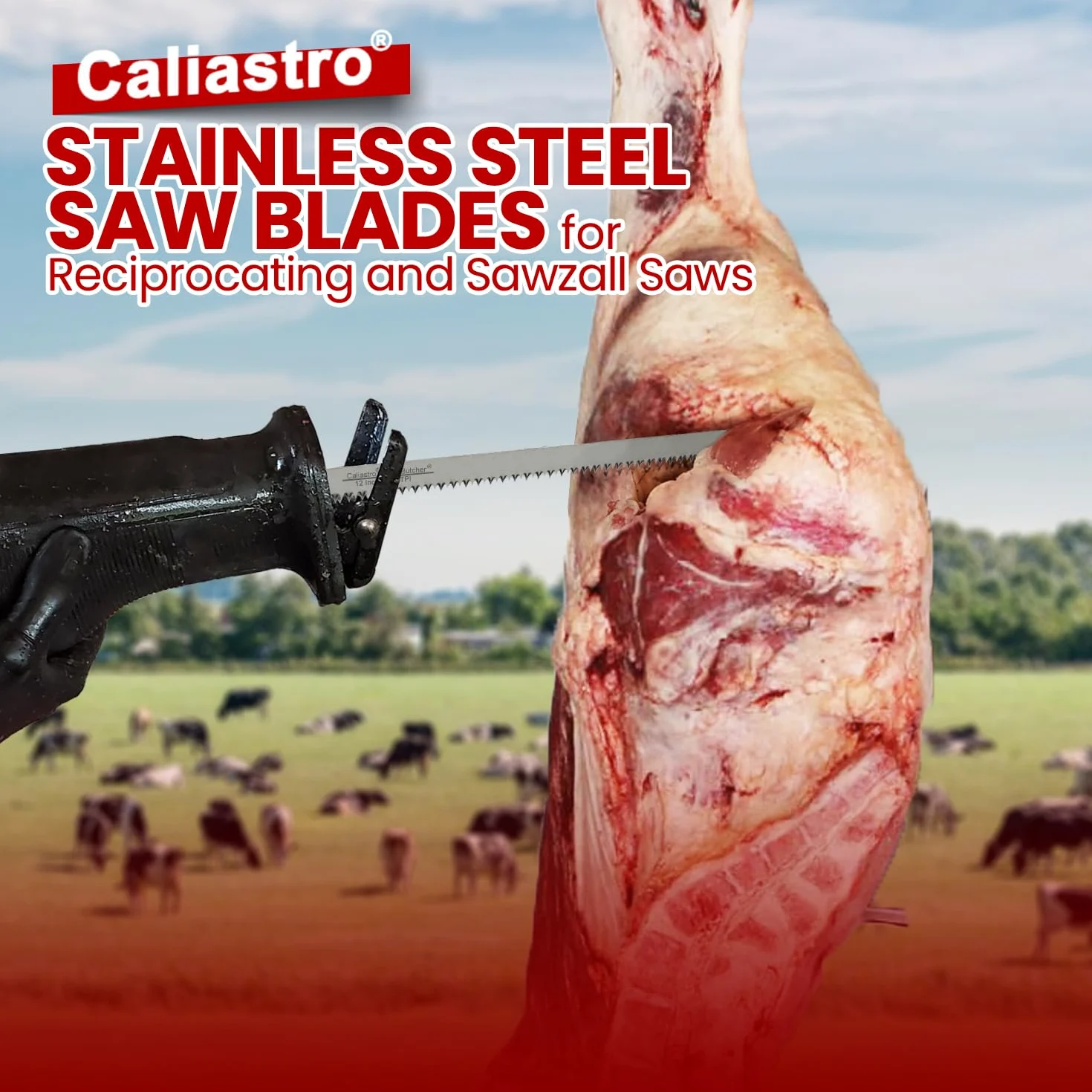 Hojas de sierra de corte de carne de acero inoxidable de 12 pulgadas para sierras alternativas y Sawzall, paquete de 5