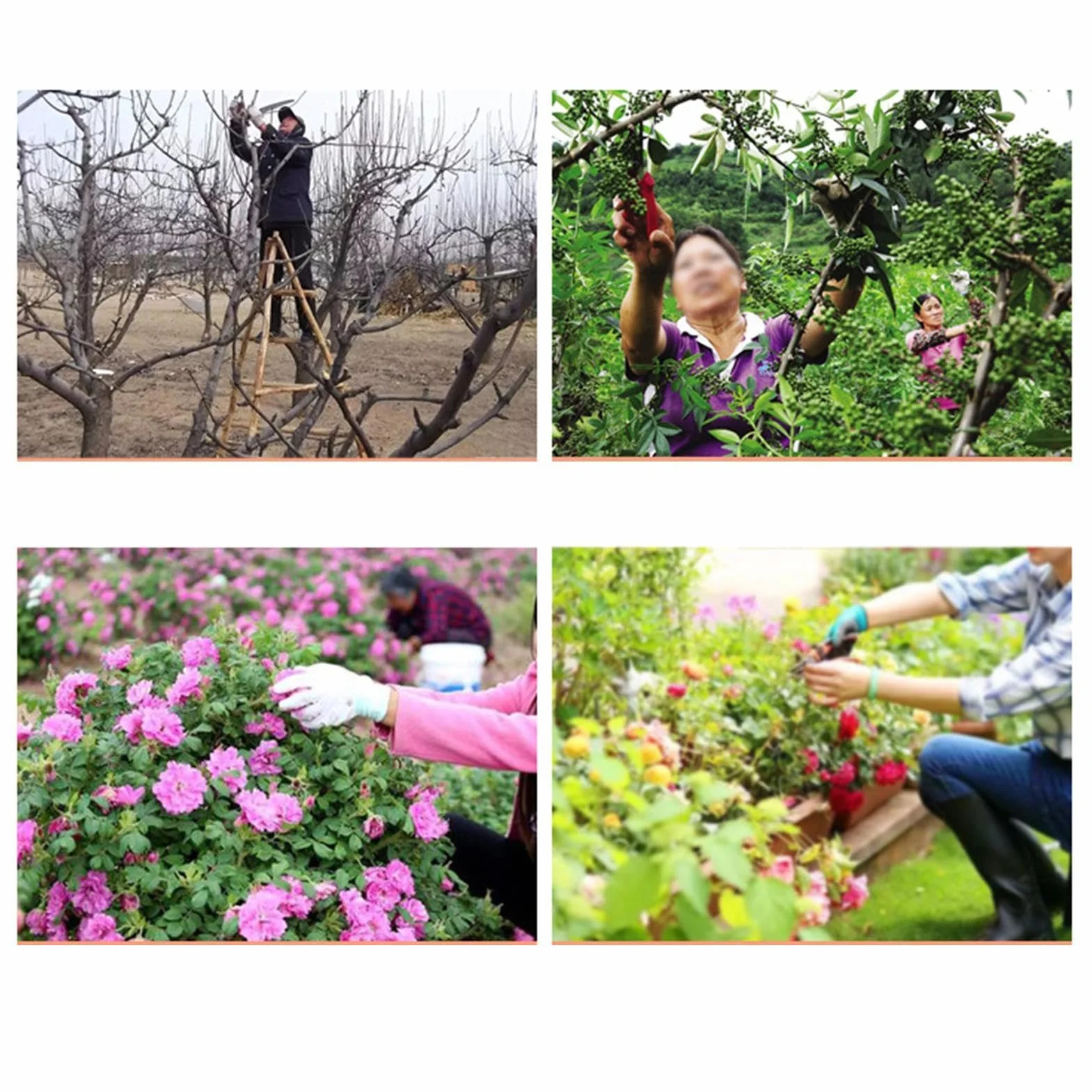 lyanny para Herramientas de Jardín,Organizador Multifuncional de Alta Resistencia | para Tijeras de podar y cortabonsáis | para Tijeras de Podar, Cortarramas, Tijeras de