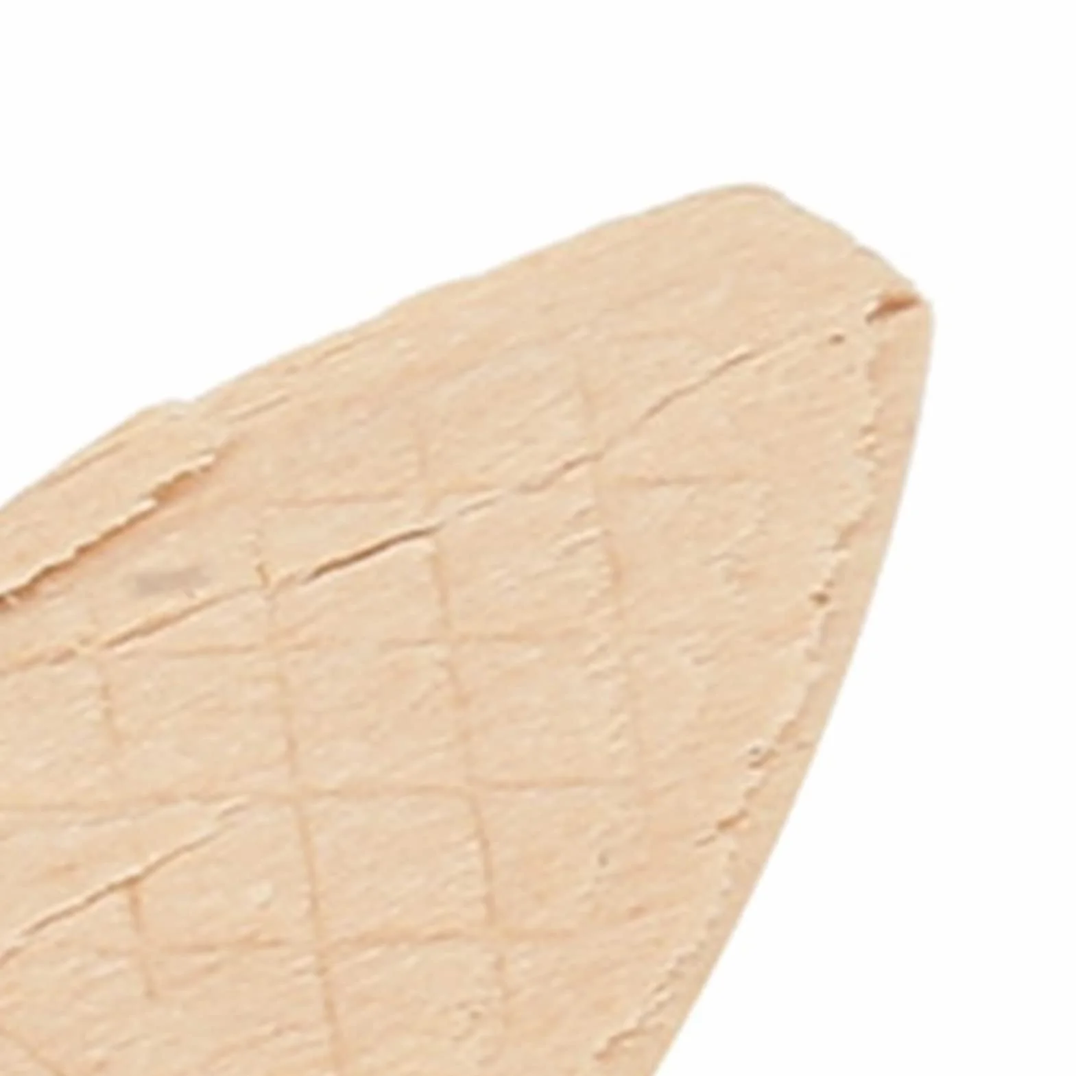 AMONIDA Galletas para Unir Madera Haya Resistencia Superior 0# 10# 20# 100 Piezas