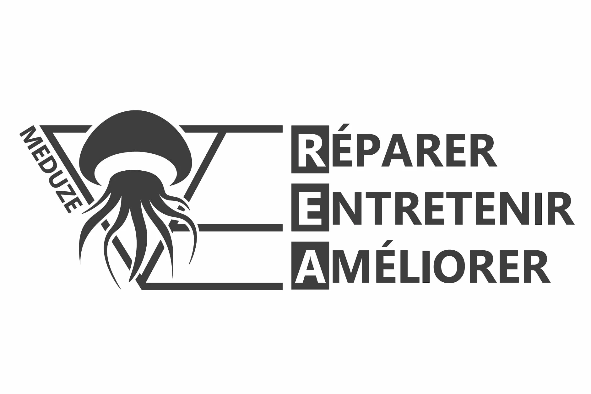 Méduze - Azul alimentario Colorante de trazado 1L - Listo para usar - Agua potable y aguas residuales - Fontanería - Diagnóstico - Obras públicas