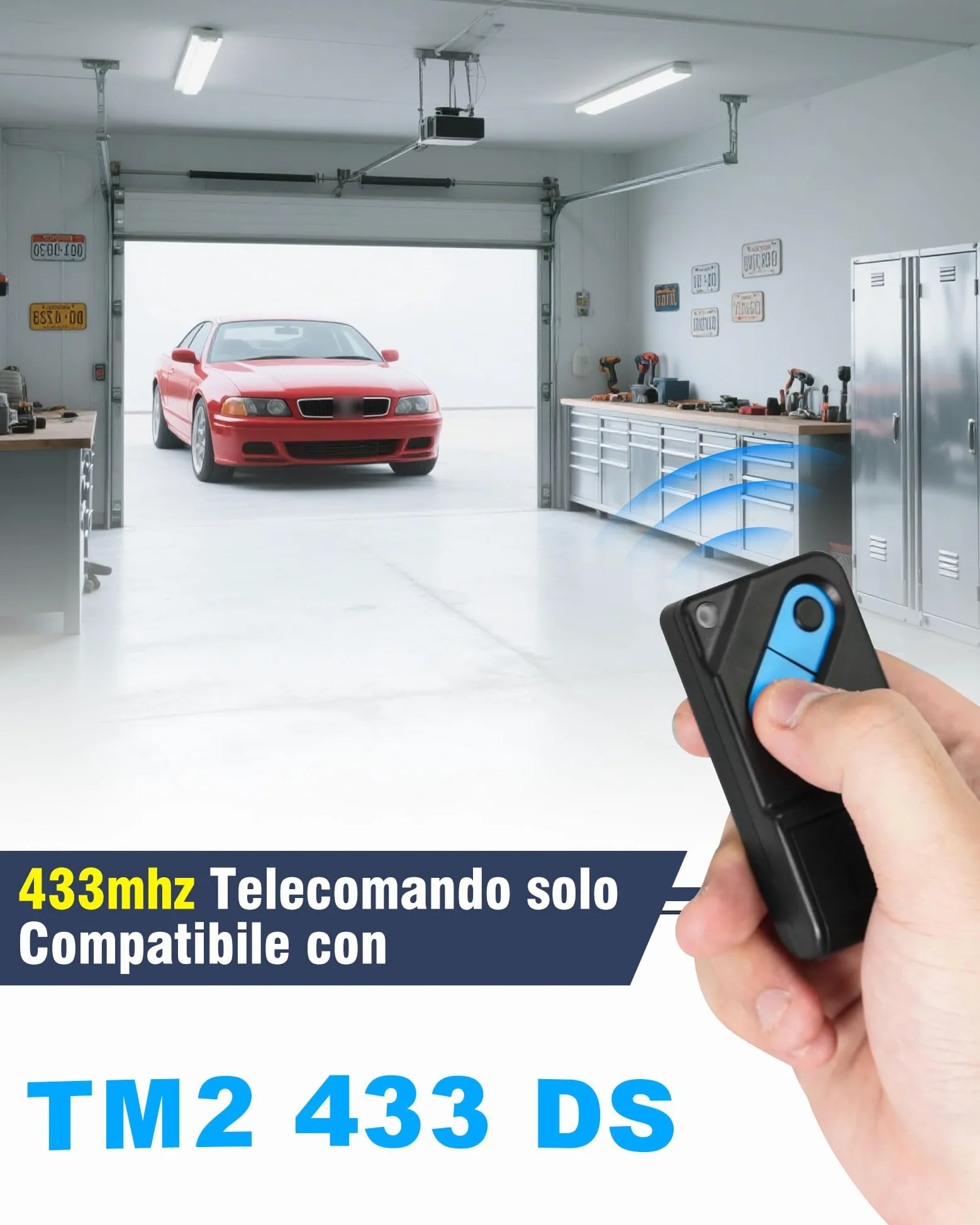 RUIZHI Mando a distancia para TM2 433 DS (2 canales, 433 MHz, 2 unidades)