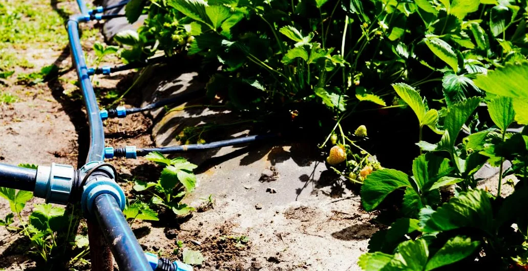 Tuberia agua potable 25mm 10 bar 100m PE100 Alimentaria alta densidad Polietileno banda azul AENOR negro