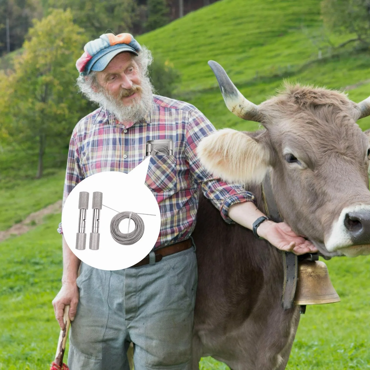 Herramienta para descornar de acero inoxidable, cable de 14 m de longitud, mango de 16 mm de diámetro, cortapelos duradero para cría de animales, equipo de granja veterinaria | Descornado rápido, segu