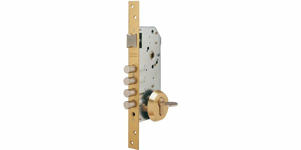 TESA R200B5SCL Cerradura Monopunto de Seguridad, Latonada, Entrada 50 mm, Sin Cilindro, Escudo E700L
